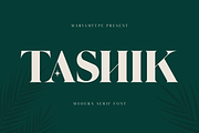 Tashik Modern Serif, a Serif Font by Maryamtype Studio (Thumbnail 1 of 7)