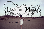 Wowangle Brush Script (Bonus Font), a Script Font by FHFont (Thumbnail 7 of 8)