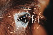 Pattersonville Script Font, a Script Font by Creativeqube Design (Thumbnail 4 of 26)