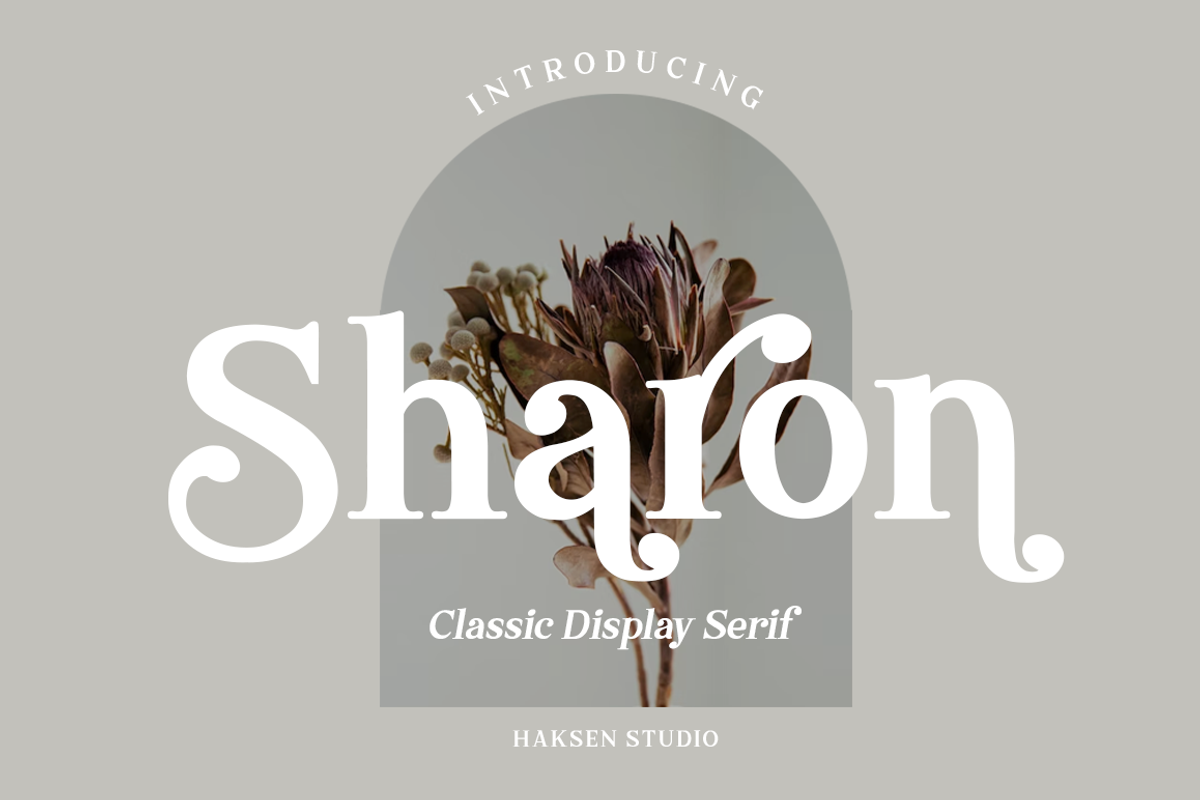 Sharon Modern/Vintage Font, a Serif Font by Haksen (Photo 1 of 11)