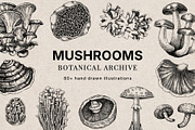 Mushrooms Vector Illustration Bundle, a Food Illustration by Yevheniia (Thumbnail 1 of 8)