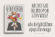 Brossaky Typeface, a Sans Serif Font by alit design (Thumbnail 12 of 17)