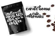 Carafe Casual Script, a Script Font by OnTheSpotStudio (Thumbnail 4 of 4)