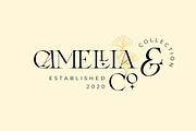 Laxura - Majestic Typeface, a Serif Font by CCS Type (Thumbnail 21 of 28)
