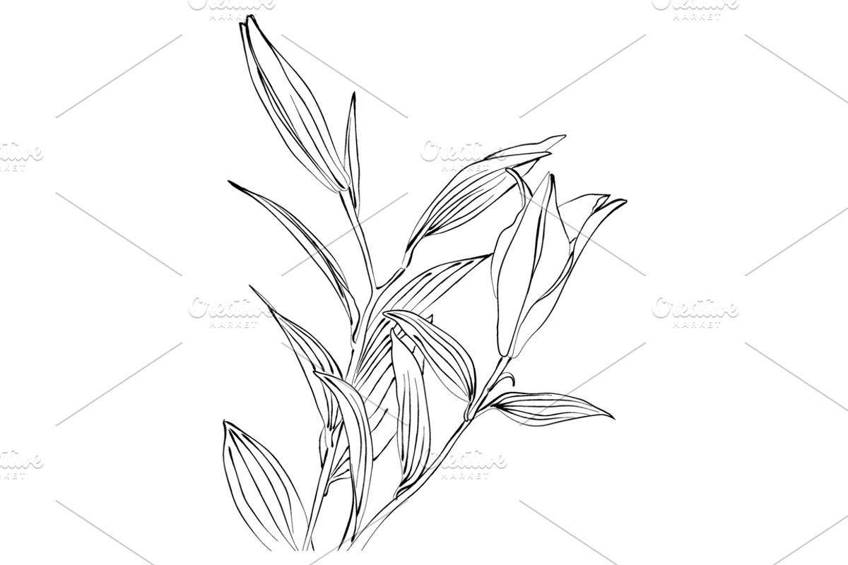 Lilies and Lotus Florals, an Object Graphic by VictoriaKStudio (Photo 9 of 10)