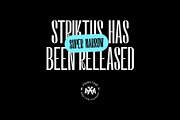 Neue Striktus - Display Type, a Sans Serif Font by Kulturë Type (Thumbnail 9 of 9)