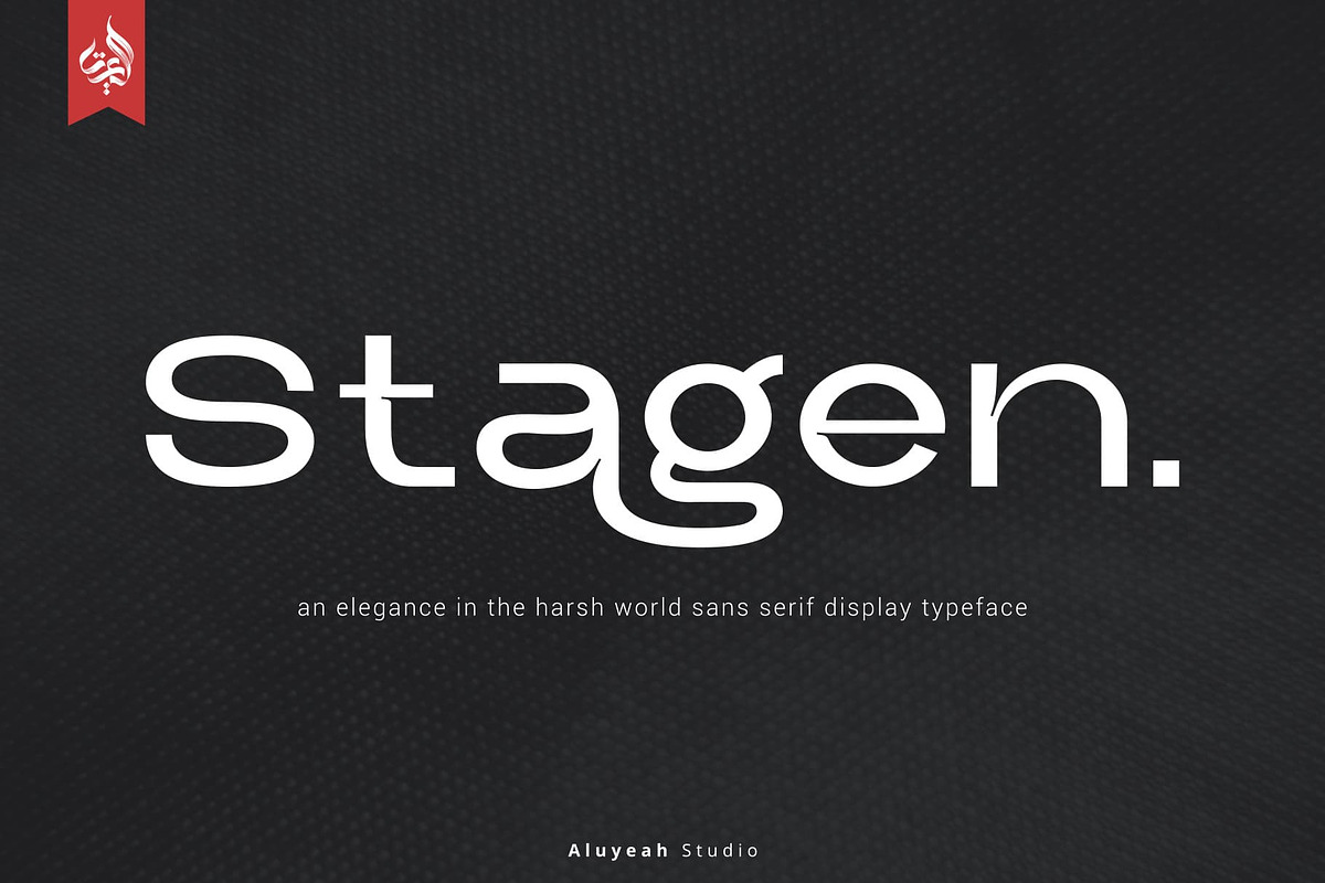 Stagen | Modern Display Sans Serif, a Sans Serif Font by Aluyeah Studio (Photo 1 of 15)