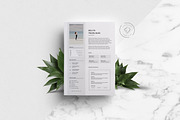 Blog Media Kit - 1 Page, a Resume Template by Leo Resume (Thumbnail 2 of 5)