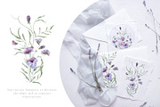 Charming purple pansies, hydrangea, an Illustration by astelenadesign (Thumbnail 4 of 12)