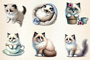 Watercolor Ragdoll Cat Sublimation, a Seasonal Illustration by DreamArtGraphic (Thumbnail 4 of 5)