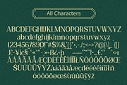 Heidan Vintage, a Serif Font by Craft Supply Co. (Thumbnail 3 of 8)