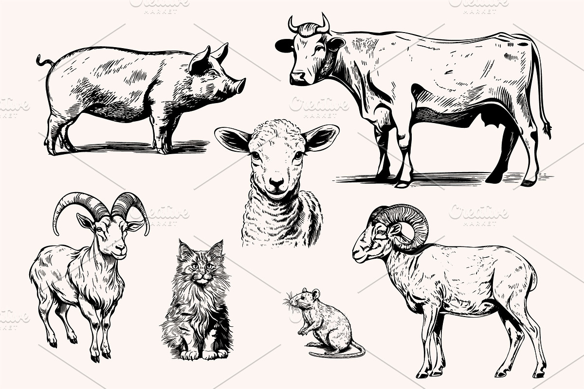 Farm Animals Collection 34 arts, a Graphic by IPVector (Photo 6 of 7)