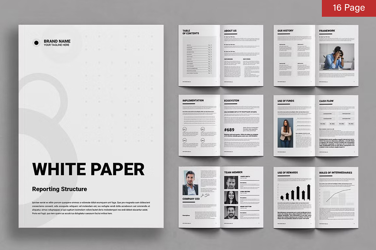 White Paper Bundle, a Brochure Template by ContestDesign (Photo 17 of 30)