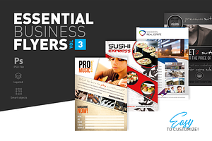 Essential Business Flyers Vol 3