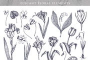 Hand Drawn Spring Flowers Set, a Seasonal Illustration by Yevheniia (Thumbnail 3 of 16)