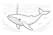 Whale Line Art Vector Bundle, an Illustration by yasushie (Thumbnail 43 of 51)