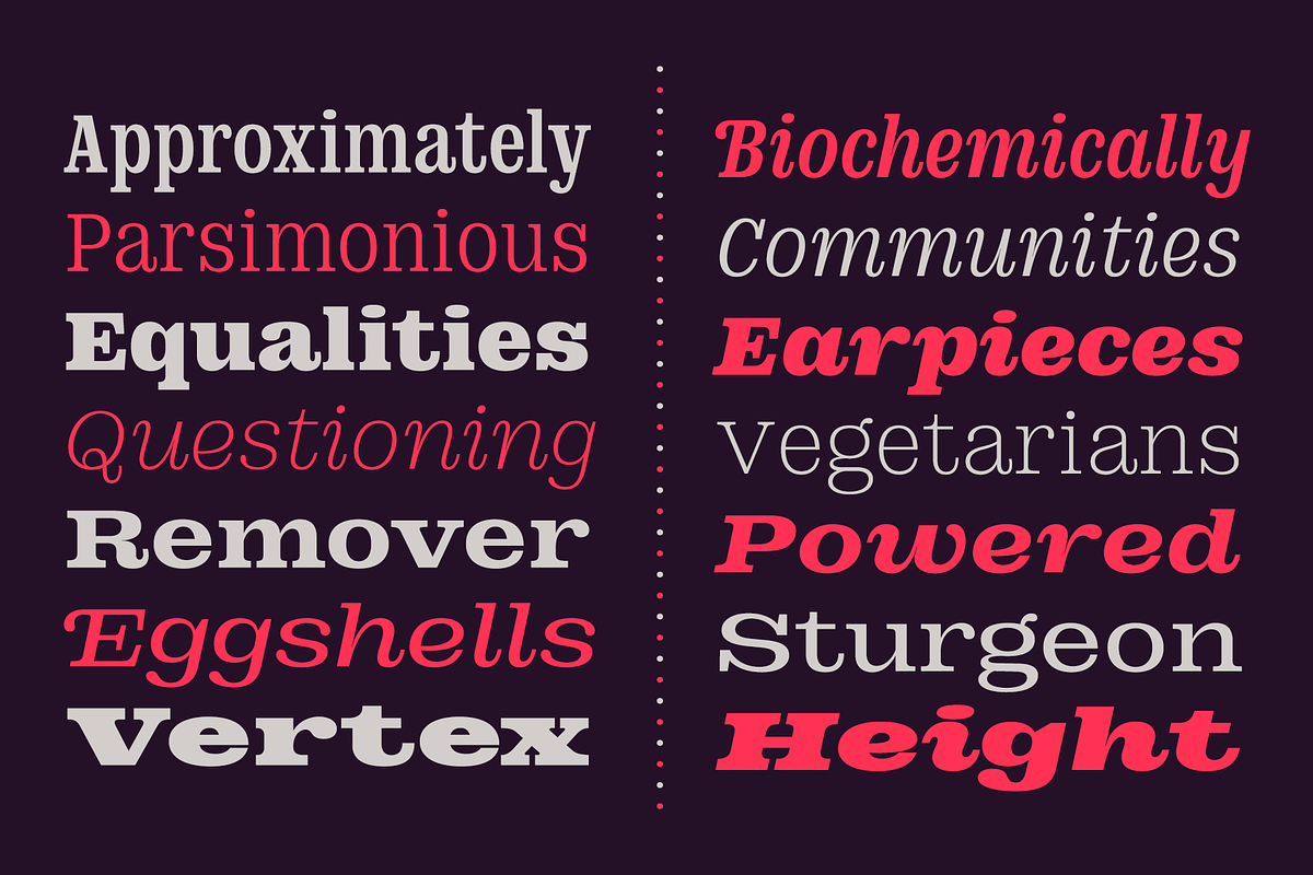 DT Augustina Slab 2 Subfamily, a Slab Serif Font by Deveze Type Foundry (Photo 17 of 30)