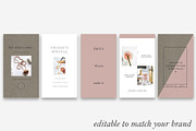 Instagram Story Templates (ANIMATED), a Social Media Template by Dana Nicole Designs (Thumbnail 3 of 6)