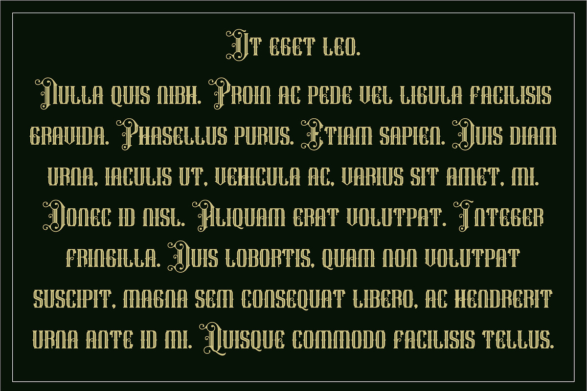 Wicken park, a Blackletter Font by LetterStock (Photo 6 of 7)