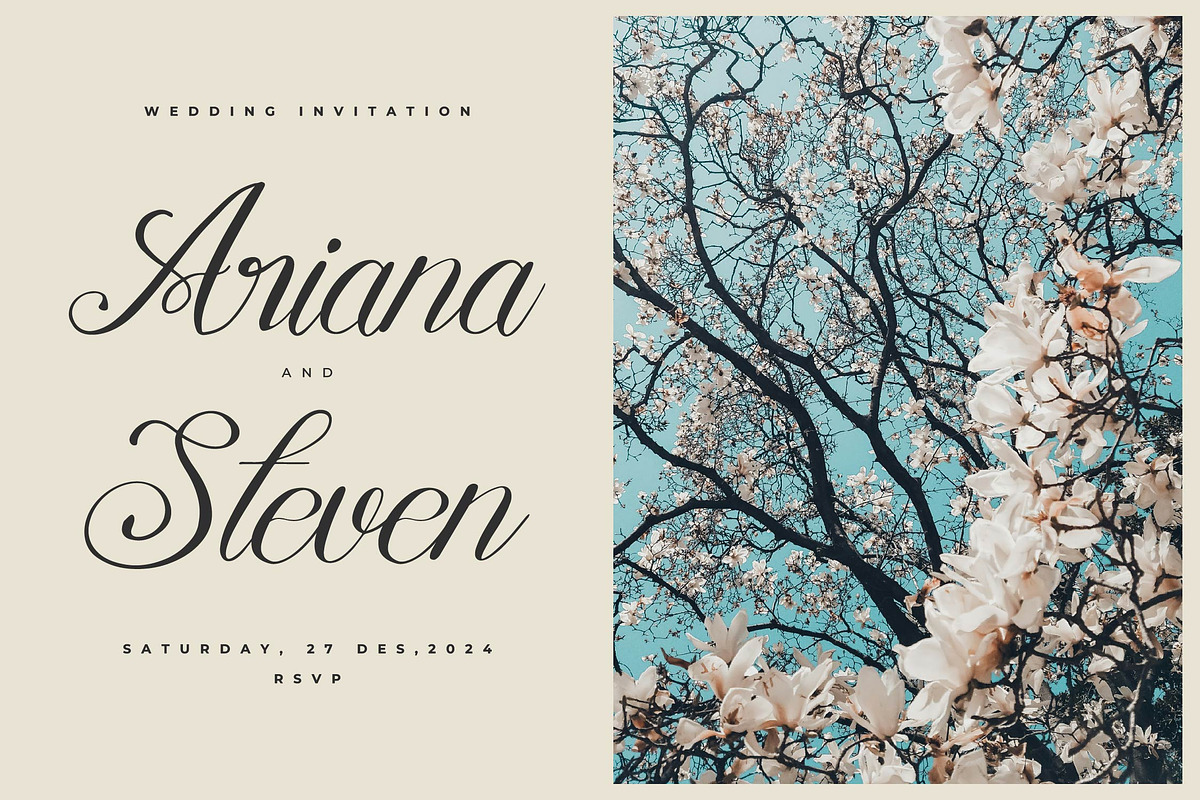 Mewskia | Modern Calligraphy Font, a Script Font by gracetype_studio (Photo 3 of 14)