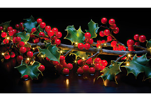 green sprig of holly ai generated, a Holiday Photo by pikepicture