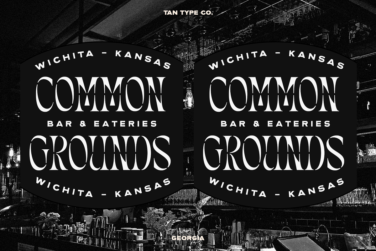 TAN - GEORGIA, a Serif Font by TanType (Photo 8 of 8)