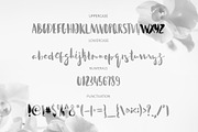 Acquainted Script Brush Font, a Script Font by Wewhitelist (Thumbnail 5 of 5)