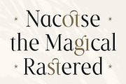 Le Saint Clair - Beauty Nostalgic, a Serif Font by Typia Nesia (Thumbnail 4 of 12)