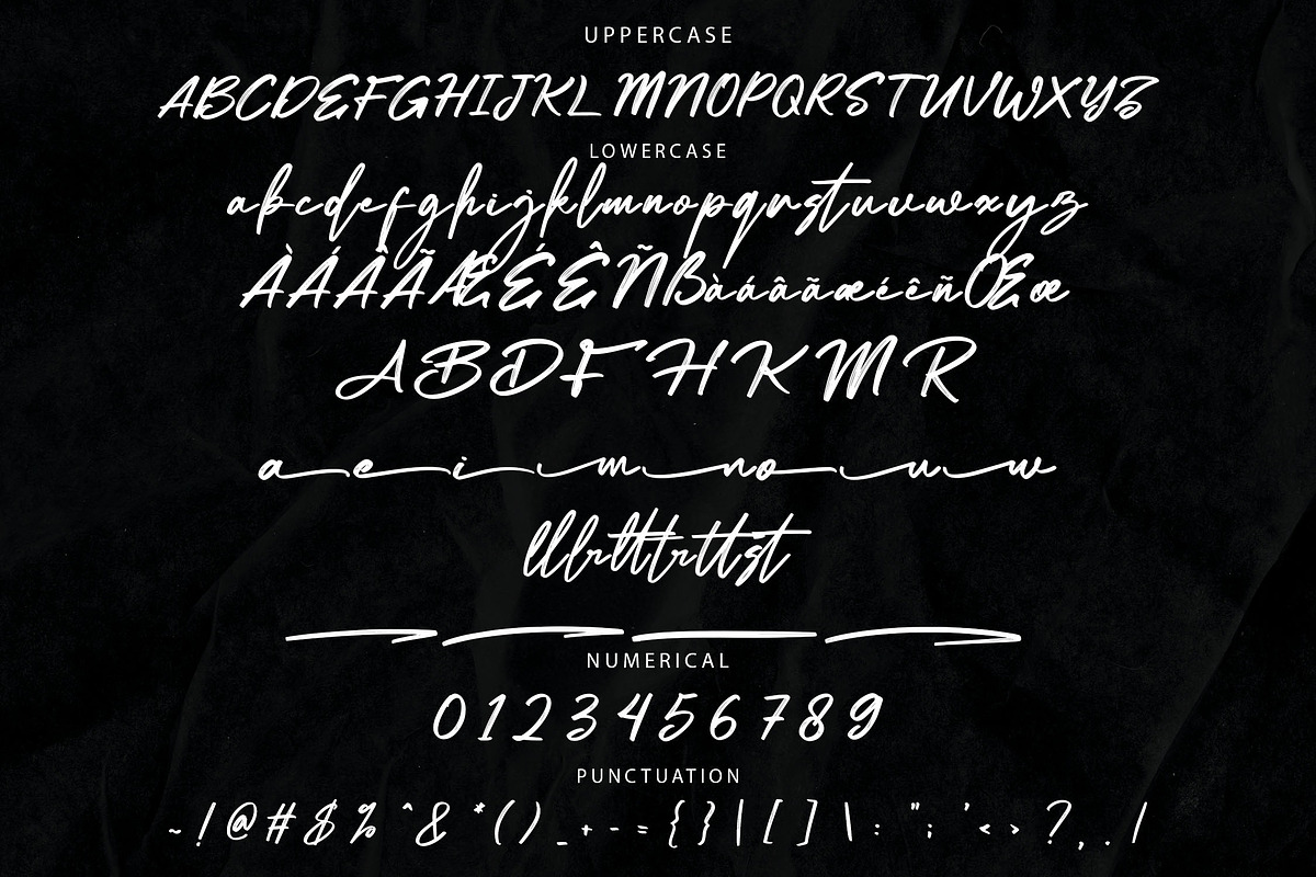 Metadiva Brush Script Font, a Script Font by NTC Graphic (Photo 6 of 7)