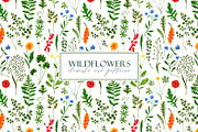 WILDFLOWERS Watercolor Set, a Pattern Graphic by Katerina Osa (Thumbnail 1 of 12)