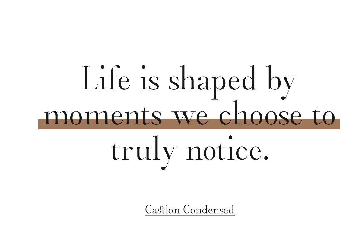 Castlon | 16 Fonts, a Serif Font by Skinny Type (Photo 8 of 10)