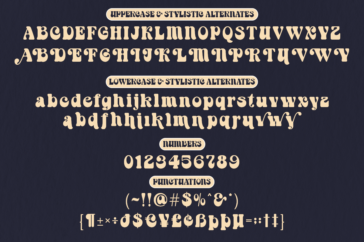 Cendolia - Groovy Retro Font, a Serif Font by Say Studio (Photo 11 of 13)