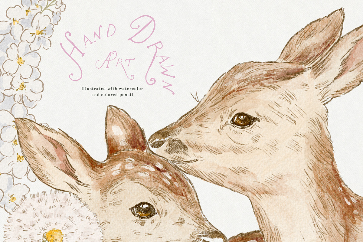 Bramblewood Tales Woodland Clipart, a Decorative Illustration by Muse Artist (Photo 29 of 29)
