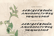 Old Poster handwritten retro font, a Handwritten Font by TD fonts (Thumbnail 9 of 10)