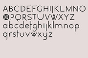 Botanica. Stylish modern and classic, a Sans Serif Font by LostandFoundry (Thumbnail 6 of 6)