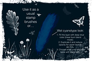 Sunprint Brushes Procreate/PS, a Brush Add-On by OlgaRom (Thumbnail 2 of 8)