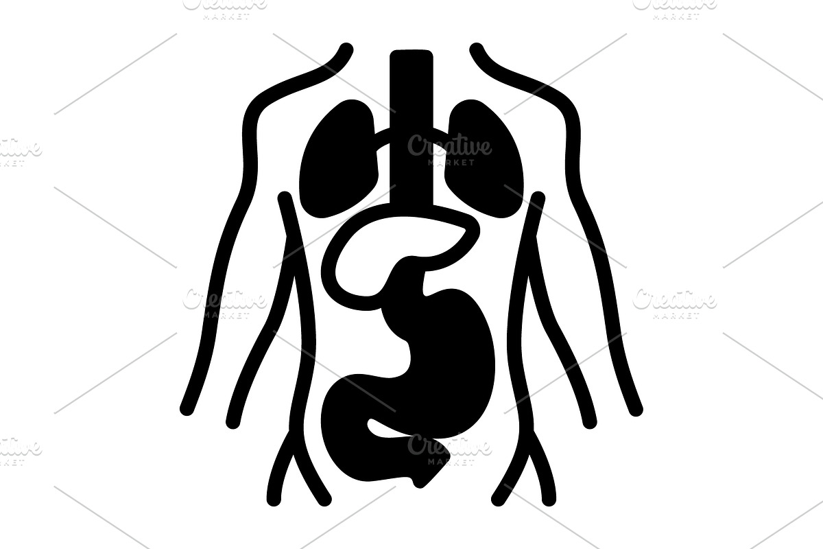 Anatomy medical solid icon, a Solid Icon by Creative priyanka