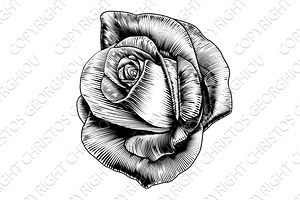 Rose Flower Engraved Etching Woodcut