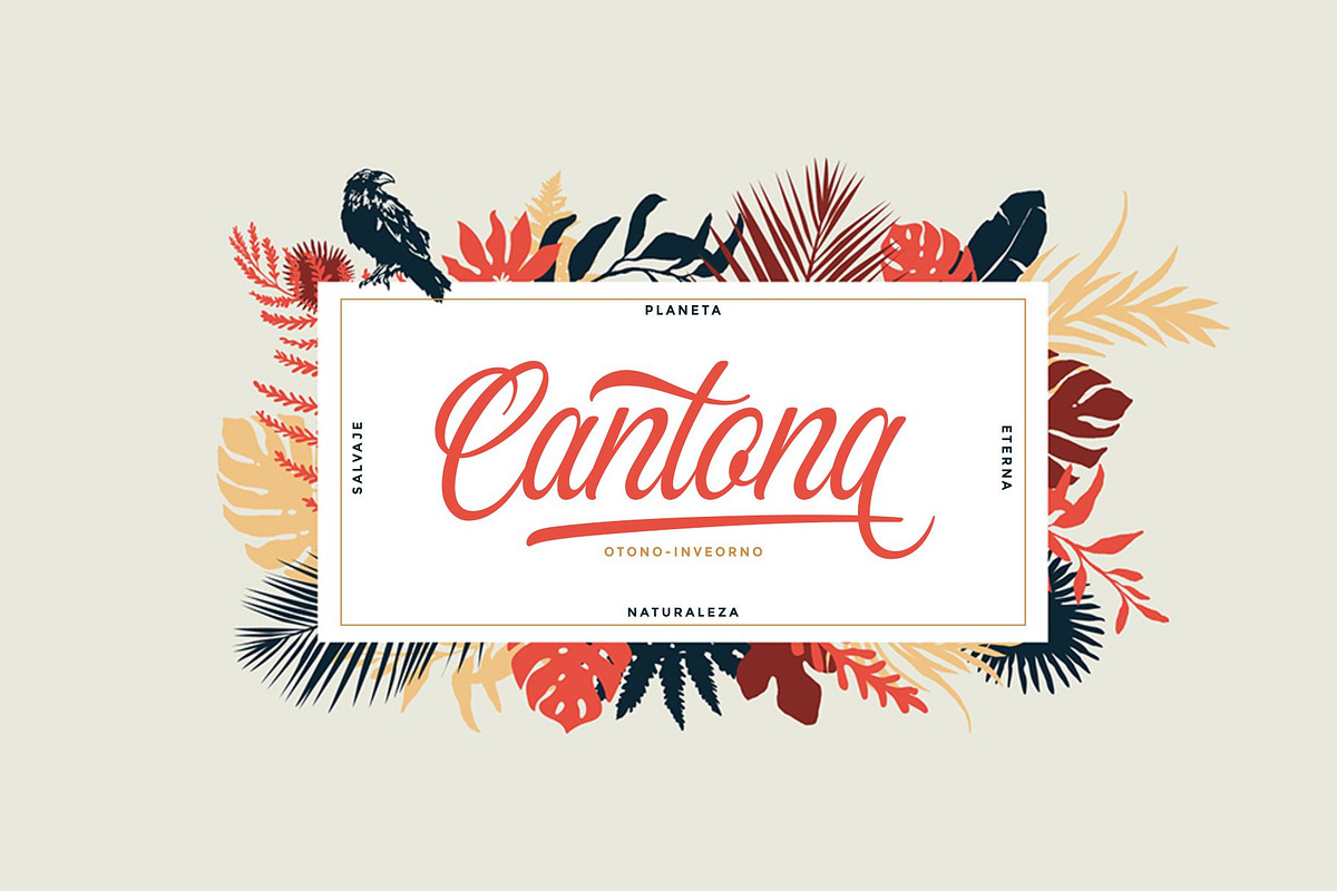 Gunstone Script preview 3
