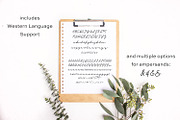 Sea Breeze Signature Script, a Script Font by Beck McCormick (Thumbnail 4 of 4)