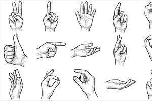 Human Hand Gestures, an Object Graphic by nikagraphic