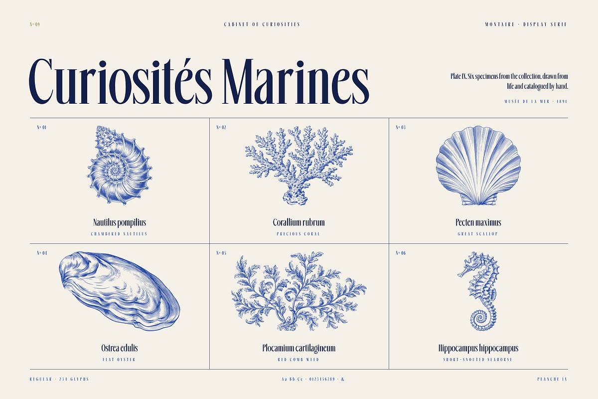 Montaire - Old Money Serif, a Serif Font by HipFonts (Photo 13 of 20)