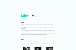 Mint - One Page HTML Template