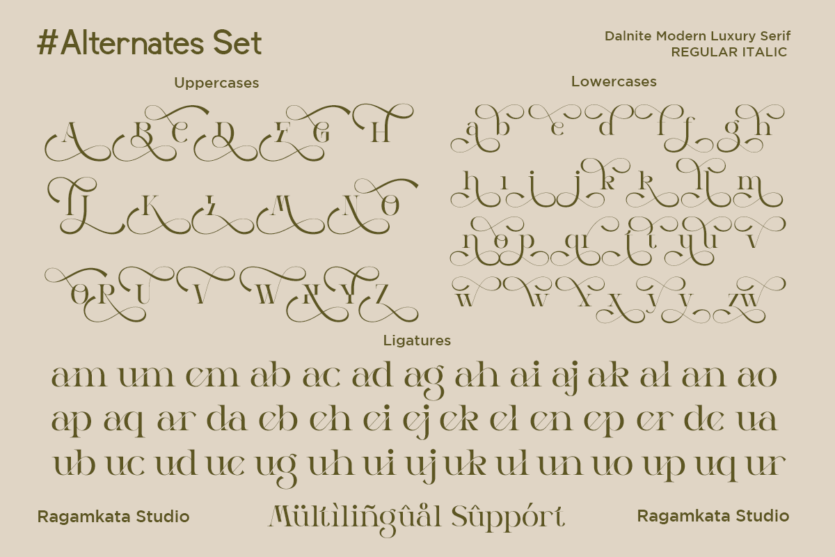 Dalnite - Modern Luxury Font, a Serif Font by RagamKata (Photo 11 of 11)