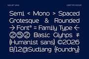 Molia - Sans Serif Font, a Sans Serif Font by limitype (Thumbnail 7 of 12)