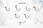 Wintersnow | Script Font, a Handwritten Font by Scratchones (Thumbnail 8 of 9)