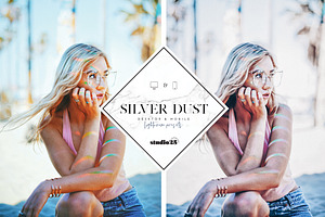 2 Silver Lightroom Presets