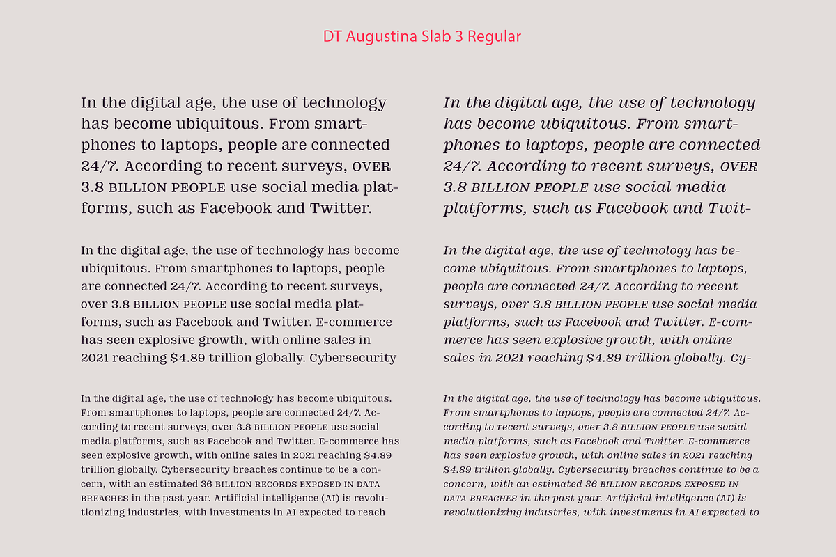 DT Augustina Slab 3 Subfamily, a Slab Serif Font by Deveze Type Foundry (Photo 8 of 31)