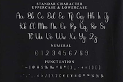Beloved, a Handwritten Font by InermediaSTUDIO (Thumbnail 8 of 8)