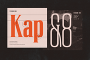 TRT Regard Condensed Display Font, a Serif Font by truetype (Thumbnail 4 of 15)